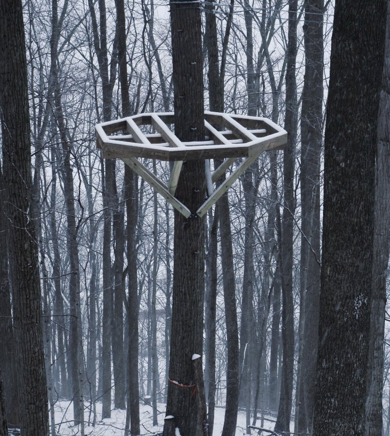 NROCKSWV's tweet photo. #ThrowbackThursday to the construction of the North Fork Valley Canopy Tour!  Did you know that our ziplines were built over the winter?!  Definitely not easy work hanging in the trees on a snowy winter day!

#NROCKS #AlmostHeaven #Zipline #Adventure https://t.co/HRTjRrwHGv