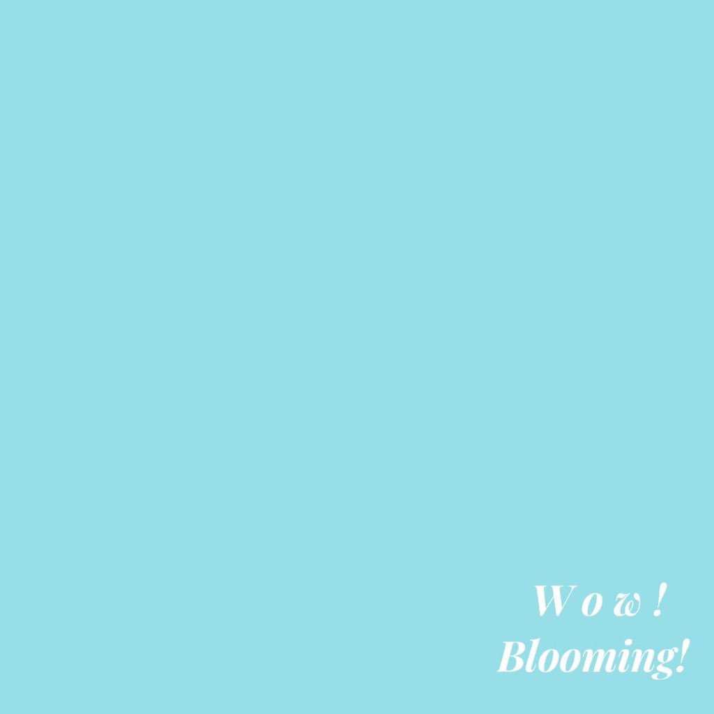 bidasari_ph's tweet photo. HEADS UP, SHS! 📣

We sell handkerchiefs in bundles! Each bundle has three (3) handkerchiefs.

BUNDLE 1: Mga panyong para sa’yo, kapatid.

[ 1/4 ] https://t.co/bWKAXZYQo6
