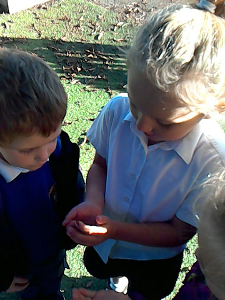 Alison Cooper tweet media