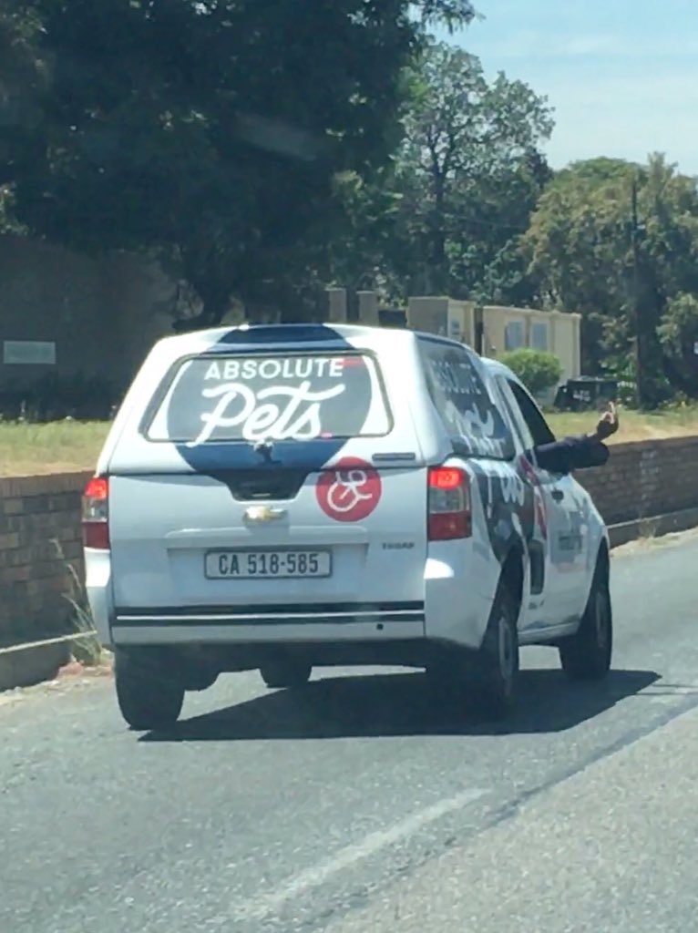 tamy_tequila's tweet photo. @Absolute_Pets this driver was driving up my ass and I tapped my brakes so he could give a gap and then he started swearing at me &amp; giving me the middle finger! These are the guys you are employing as the face of your company! I have called to speak to a manager, waiting feedback https://t.co/hnLG95ozva