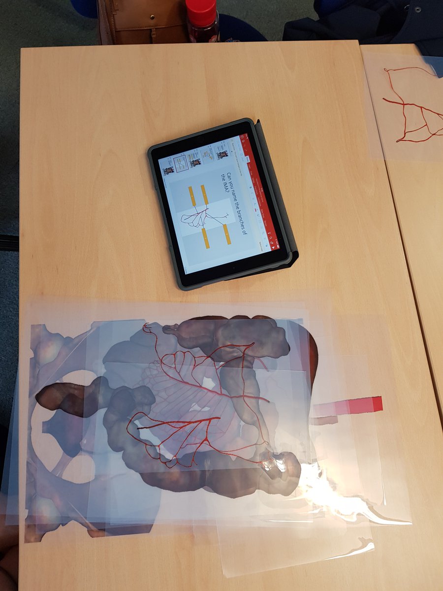 UHPImaging's tweet photo. Yesterday some of our CT Radiographers from @PHNT_NHS went to @PlymUni for their CME morning and were lucky enough to use the Anatomage Table and attend a lecture in embroyotic abdominal digestive development and other learning opportunities.  A well planned CME session #Imaging https://t.co/La1U4vEytg