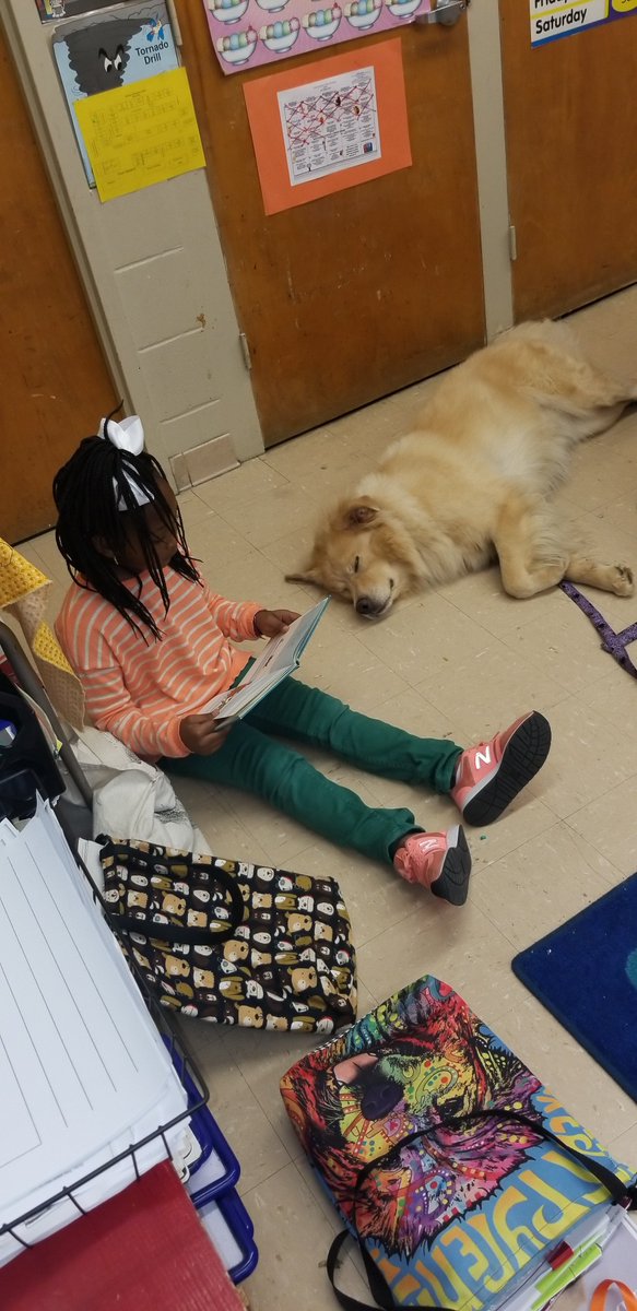 ConnerConquers's tweet photo. "Libby Listens" visits 2nd grade teacher Norrell's class.  The results  are twofold, the child gets to practice reading skills and become more  comfortable around dogs. https://t.co/gl5GobHdZ9