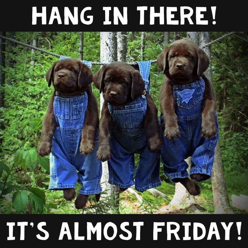 AxeValleyVets's tweet photo. https://t.co/4xOtS8kz6u