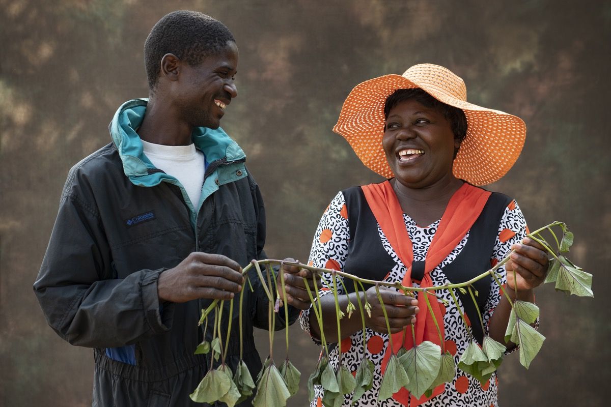 How the science of #biofortification grew from an idea to a food revolution: on.cgiar.org/2OrwxkO #foodsecurity #nutrition #FoodPrize18 <a href="/CGIAR/">CGIAR</a>