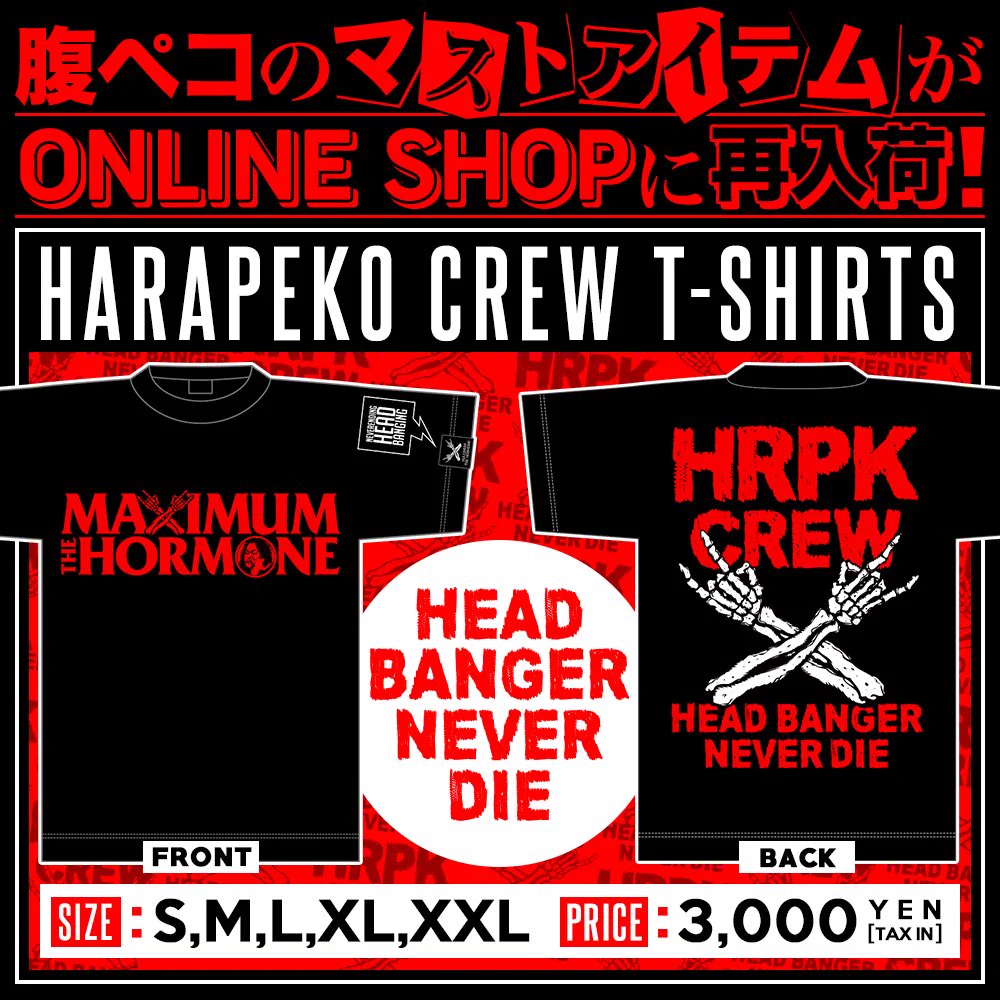 MAXIMUM THE HORMONE Tシャツ Lサイズ タオルセット マキシマム ザ ホルモン on X: 