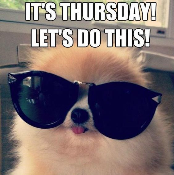 AmberBar's tweet photo. 1 day til Friday dawgs - You can do it!
Happy hour from 5-10pm tonight to keep you going that extra day ๐ฅณ
Book one of our limited VIP table on 0207 382 1690
#moorgate #amberbar https://t.co/VwavFvJqtj