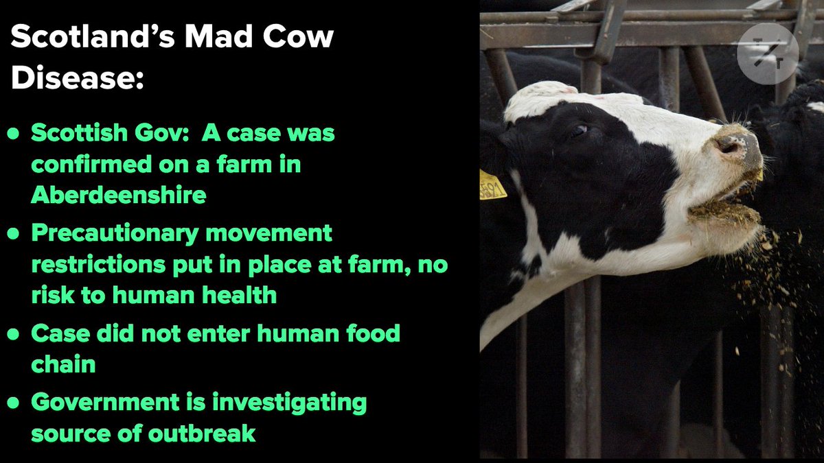 bbgoriginals's tweet image. A case of mad cow disease has been confirmed on a farm in Scotland. Here's what we know so far: