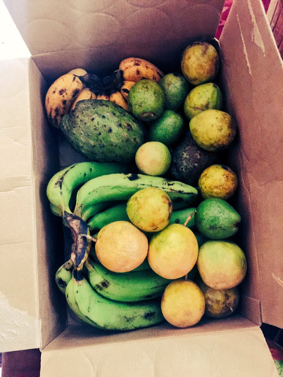 OnlineBandim's tweet photo. Here we’re #packaging for one more delivery. With @Nolab we’re celebrating #feedingday. Join us this week and make you order
#BandimOnline your #instant delivery for fresh food https://t.co/47YPblVhKt