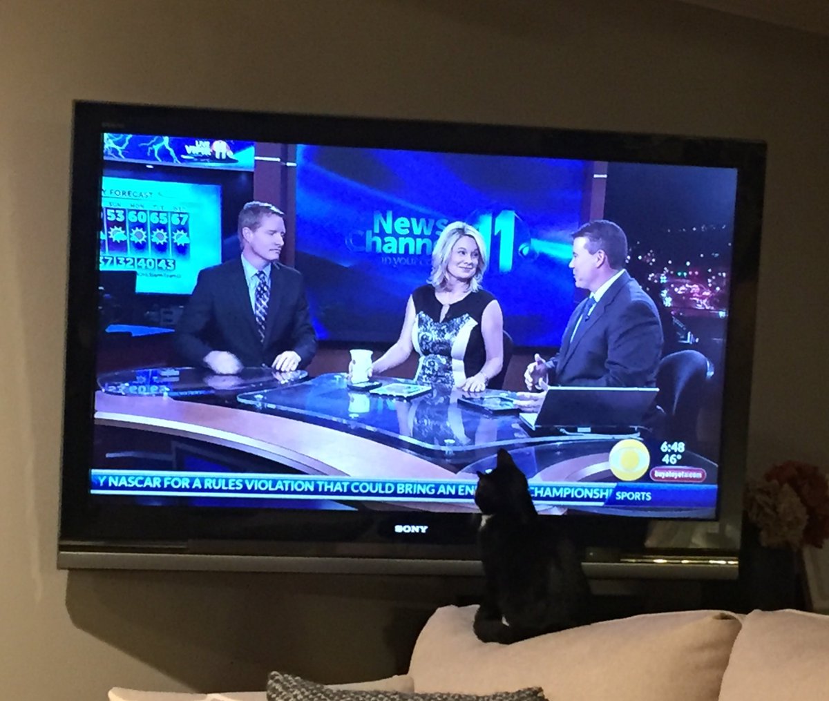 Mo is glued to <a href="/WJHL11/">WJHL</a> this morning! He is very excited about <a href="/jeremyeisenzopf/">Jeremy Eisenzopf</a>’s fall forecast! 😹