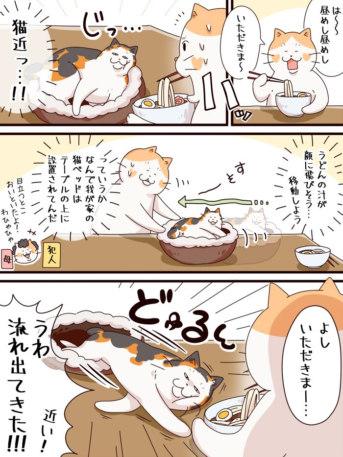 今日のお昼の猫ちゃん絵日記☺️ 