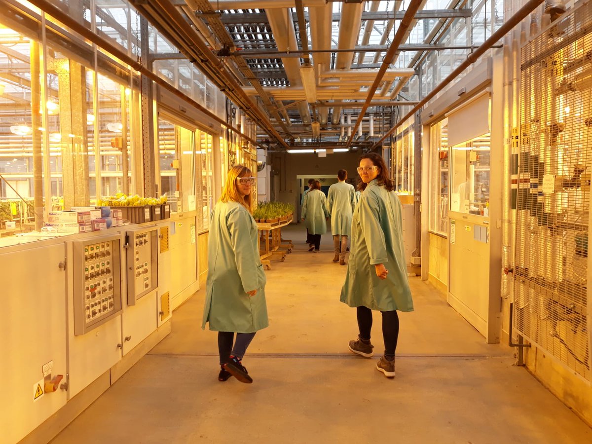 SkyEarth22's tweet photo. Selecting seeds for @SkyEarth at Syngenta UK. Thank you @UoNYES for this opportunity! #yes18 #protectourplanet @lborogeog https://t.co/Fnm1BX8w0Q