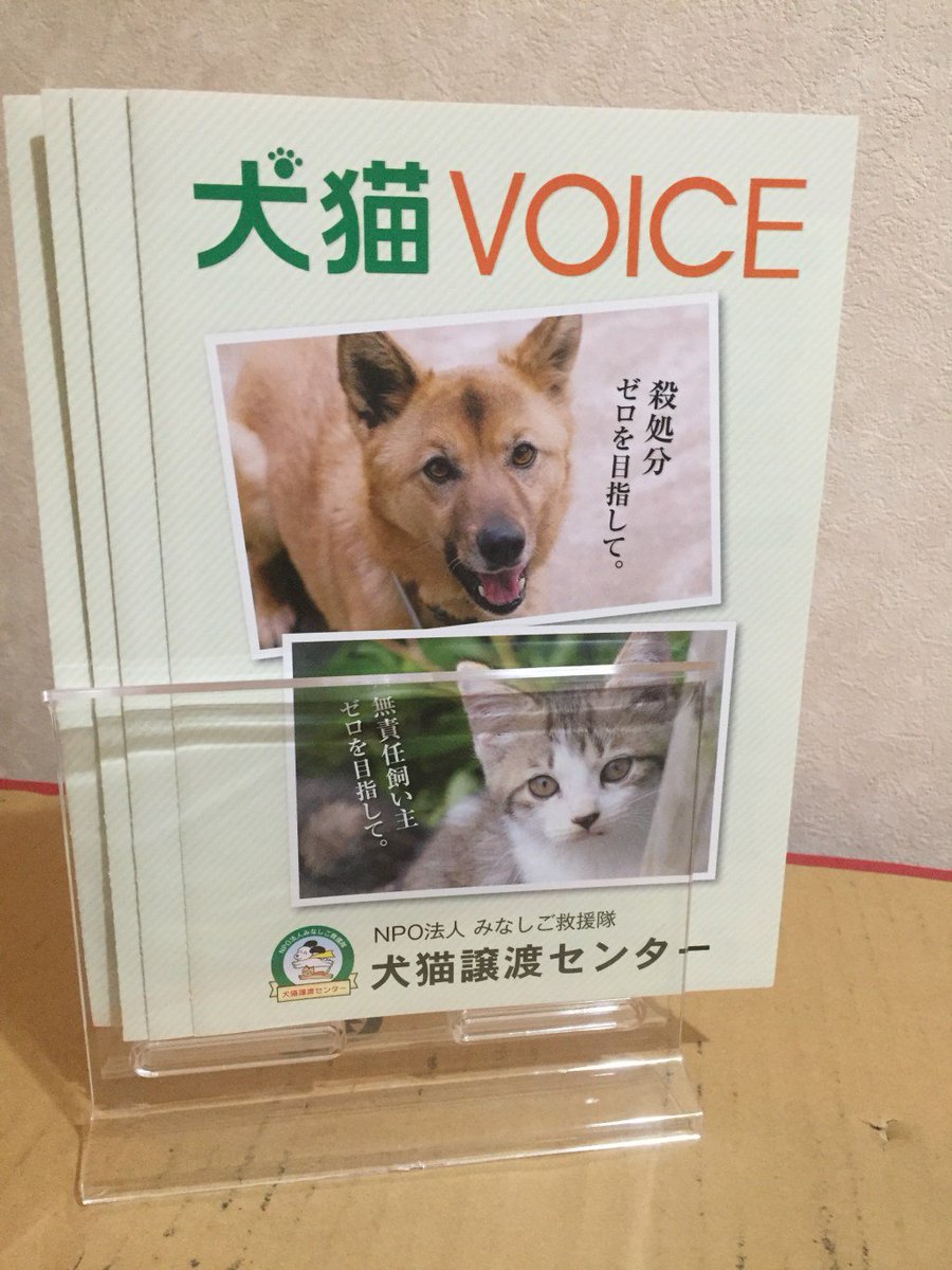 ブログ 犬 猫 隊 みなし 救援 ご