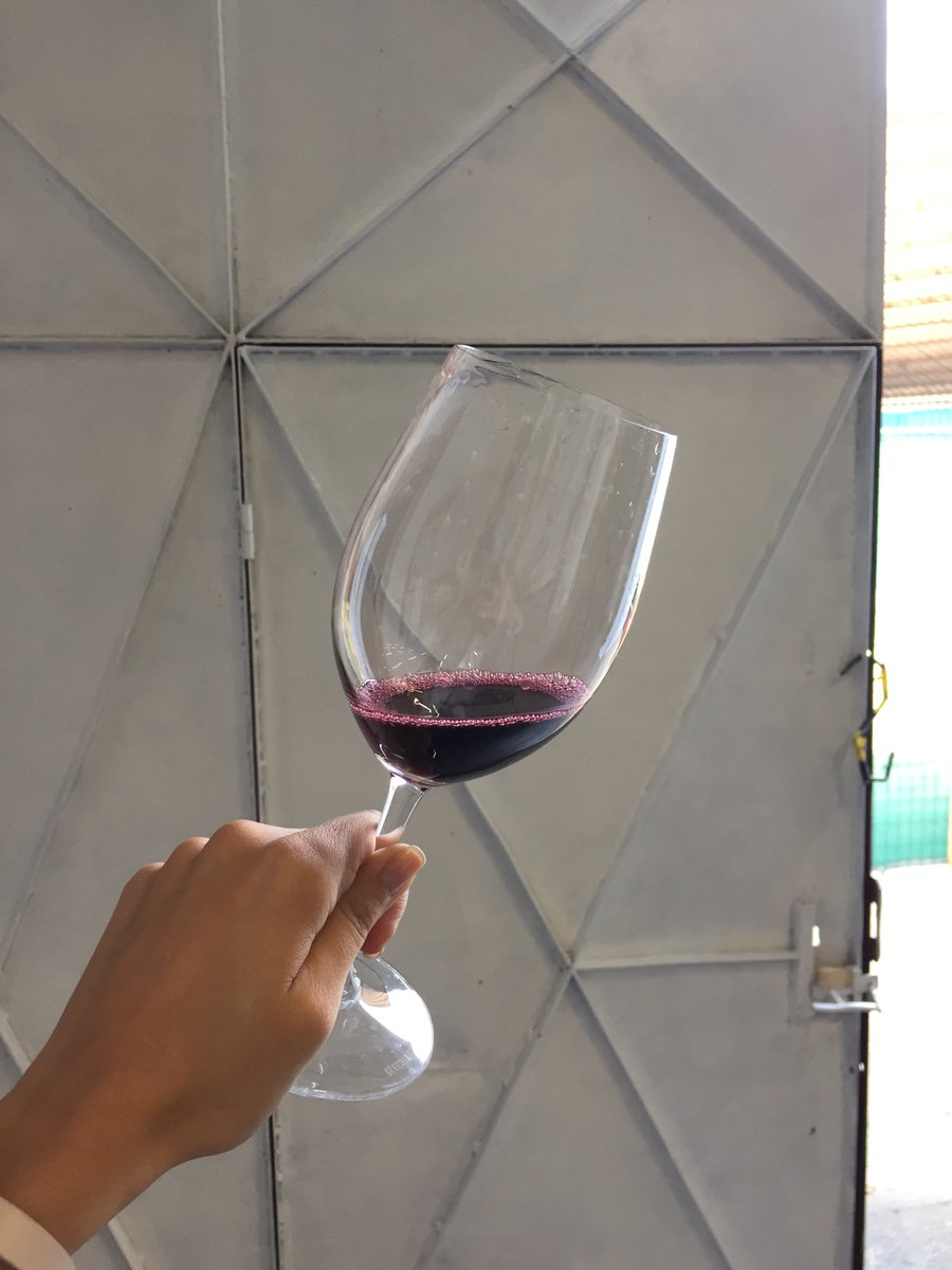 WineSpain's tweet photo. 💻📝Ya tenéis la nueva entrada de mi blog en la que os contaré todo acerca de mi visita a la bodega de #3Elementos en la @DORibera 🍷🍷🍷
https://t.co/xxlcLXr8it
🍇🍇🍇🍇🍇🍇 https://t.co/ypgQcm9ukJ