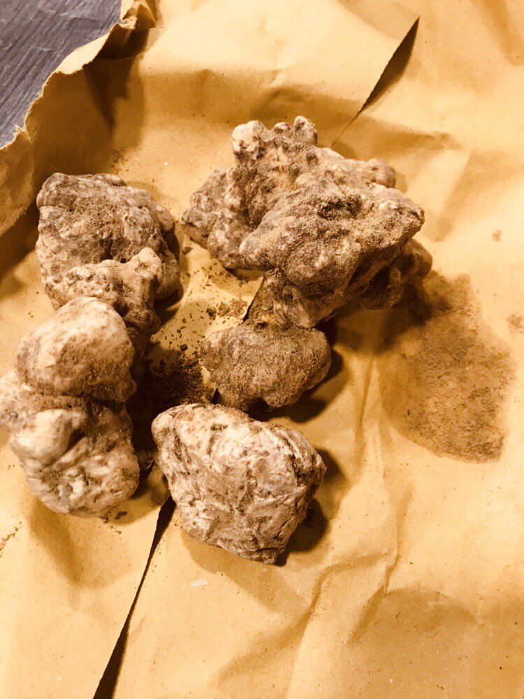 Il Tartufo Bianco est arrivé 💪🏽💪🏽💪🏽
On vous prépare un super menu truffe blanche à partir de ce soir .......

#CREDERE #cheflife #instagood #instachef #luxuryfood #luxuryeats #lifestyle #loveitaly #IDA