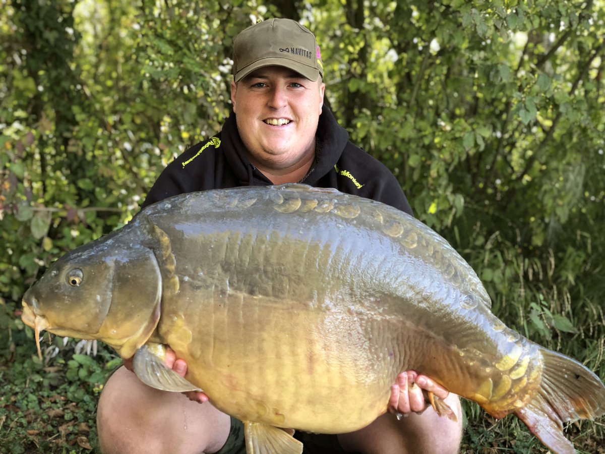 Shauncritchley1's tweet photo. #carp #france #LDP #50s https://t.co/Qp7OYY9rZQ