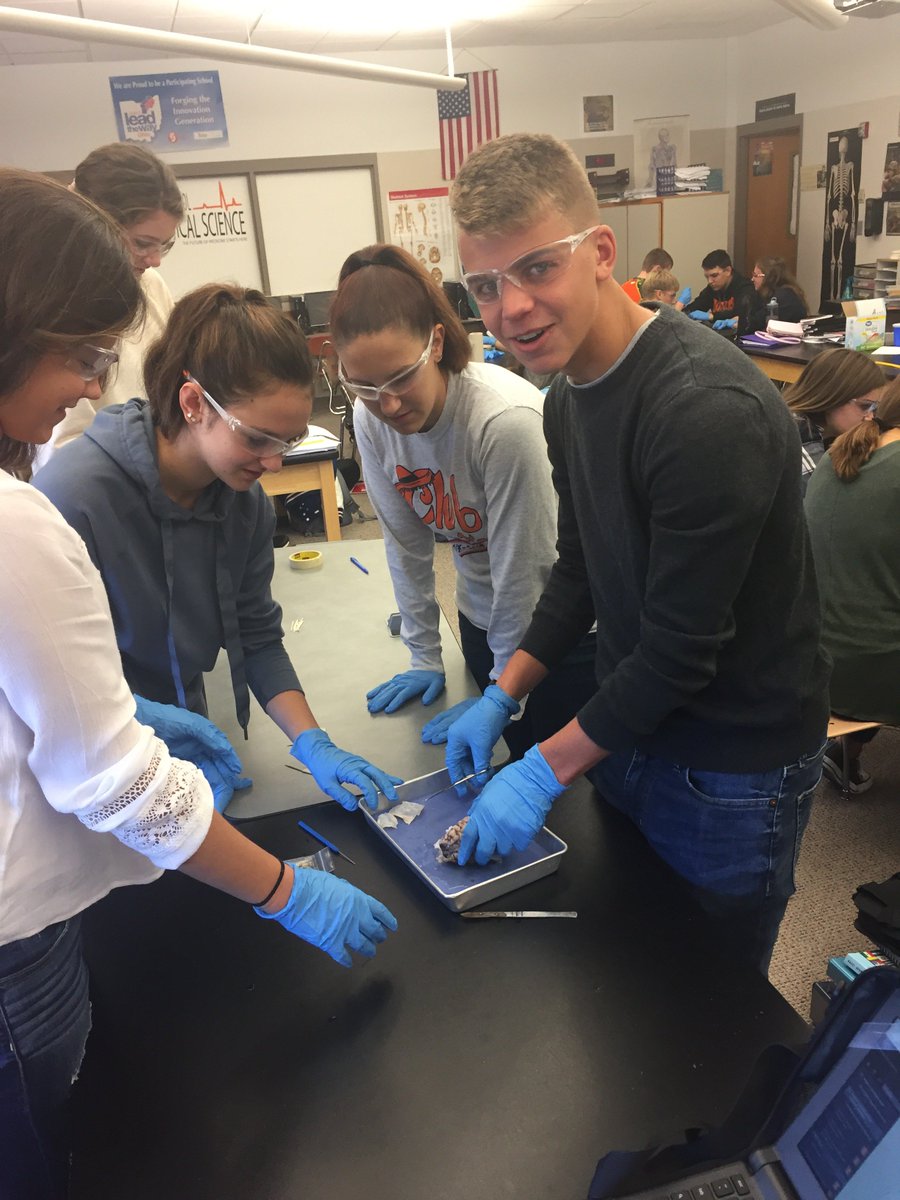 Students in HBS dissecting a brain and figuring out specific processes occurring in the different regions.