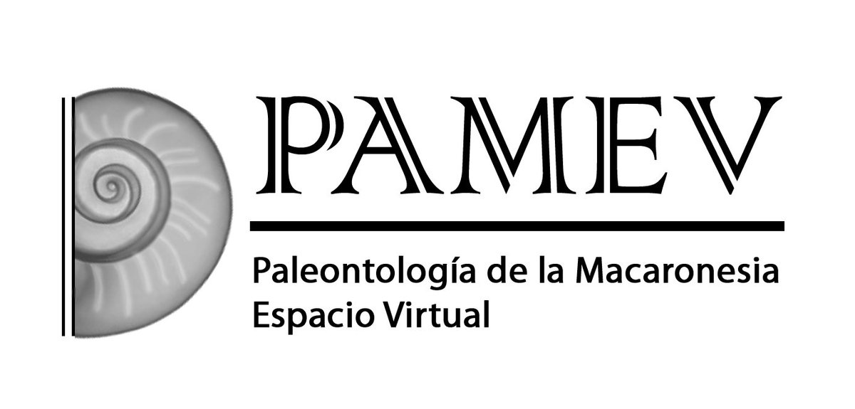 bulpgc's tweet photo. 🎥El vídeo de la presentación del proyecto #PAMEV, Espacio Virtual de 'Paleontología de la Macaronesia', ya está disponible en el Canal Youtube de la @bulpgc . 🐚
+ información >https://t.co/wtAFhvT8xm
Vídeo > https://t.co/420Pcp3rF5 https://t.co/0Eb0eMzaU5