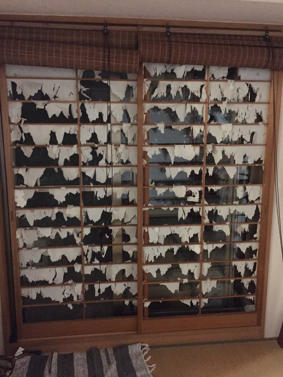 仔猫を飼ってるお家に遊びに行ったらホラーすぎた 障子が破れているだけで何故こんなに怖いのか Togetter