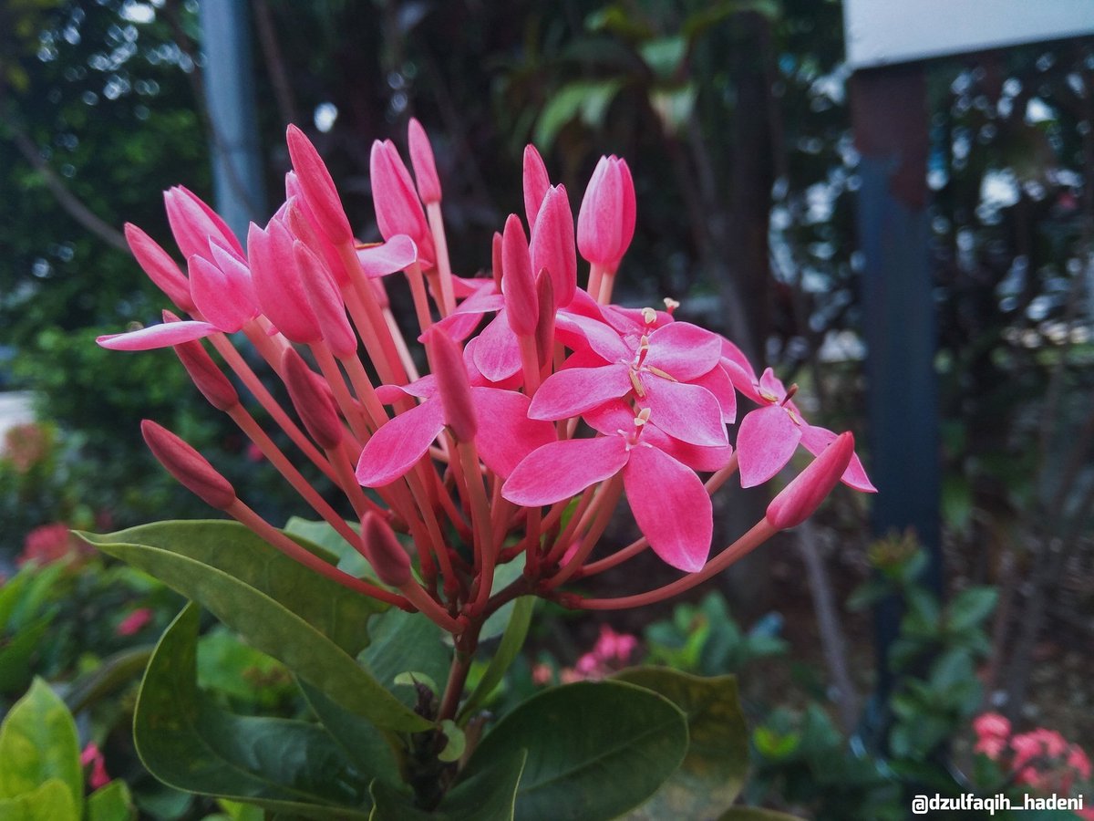 AlexrienA's tweet image. Follow my instagram for more picture of art, grapher and hobbies
@dzulfaqih_hadeni
#vsco #streetgraphy #streetbuild #instagram #vscomy #grapher #mobilegrapher #photographer #mobilegraphymy