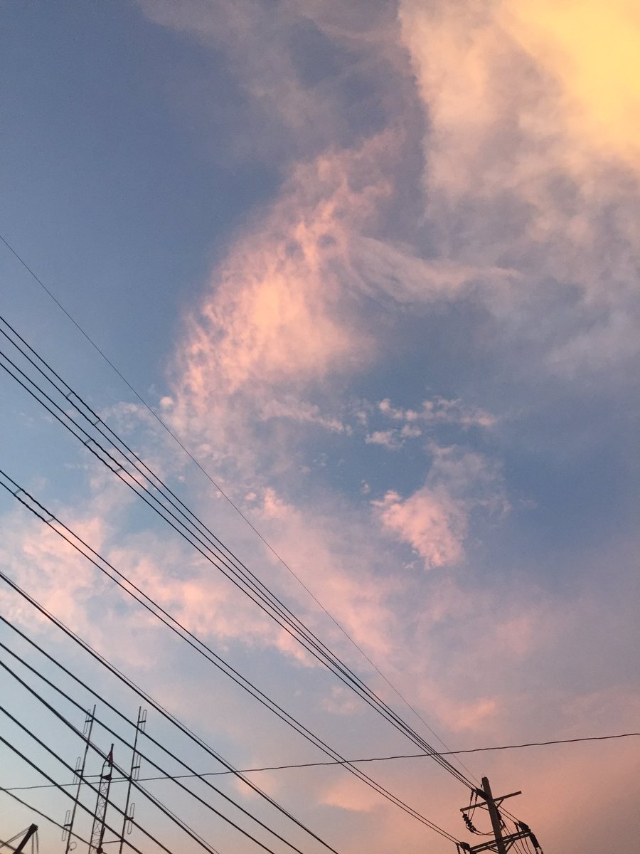 pink♡ tweet media