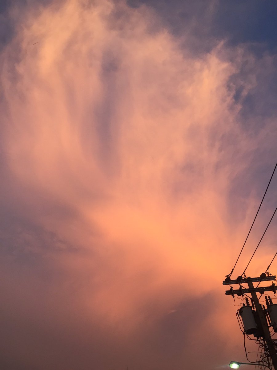 pink♡ tweet media