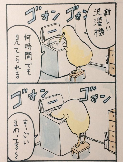 今日のキーウィ君 