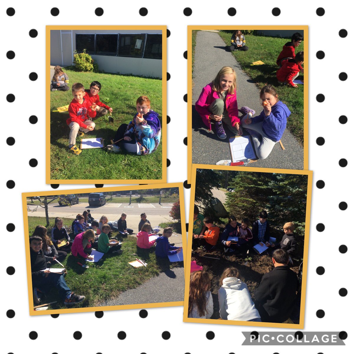 jessmsherman's tweet photo. What will happen if you plant a bulb upside down, under a rock, or just below the surface? Our class will let you know this spring! Our Journey North Tulip Test @SouthESPlymouth @journeynorthorg @journeynorthED @PlymouthSch https://t.co/WwCfJsqux7