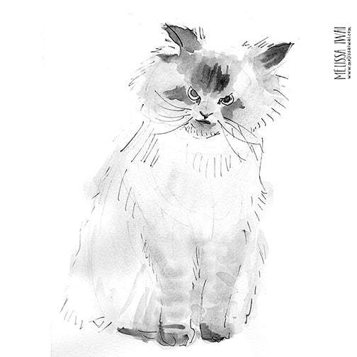 meliwai's tweet photo. I have my game on face today. About to drive alone on the east coast for the first time to South Maryland.😂🤣 I'm used to Los Angeles drivers but not all the tolls here or the pedestrians and delivery cyclists!
#inktober2018 #inktobercats #paintings #paintinginkycats #dailyp… https://t.co/X3Ulea1JKi