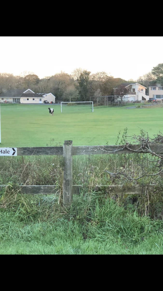 JoshBevan90's tweet photo. Just seen @Henaz8 getting an extra training session in https://t.co/JJP9NPiU3T