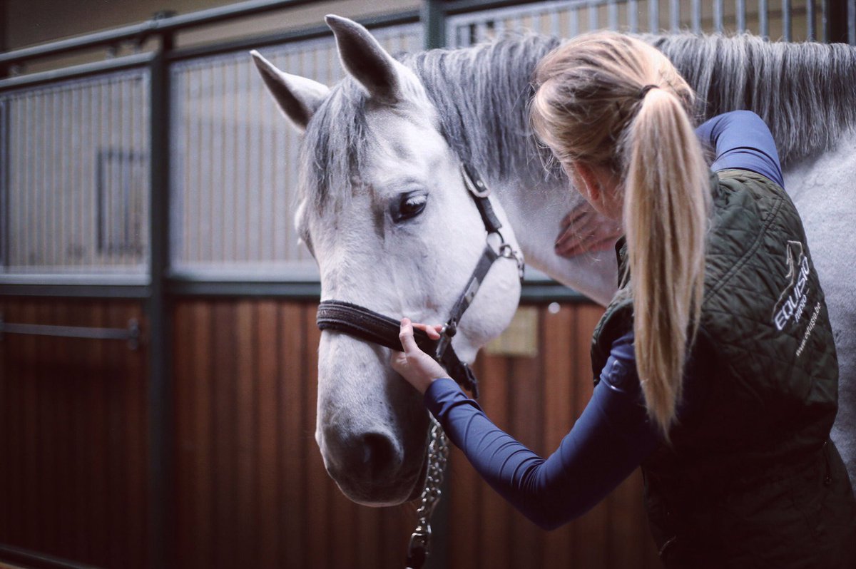 Bieke Thill tweet media