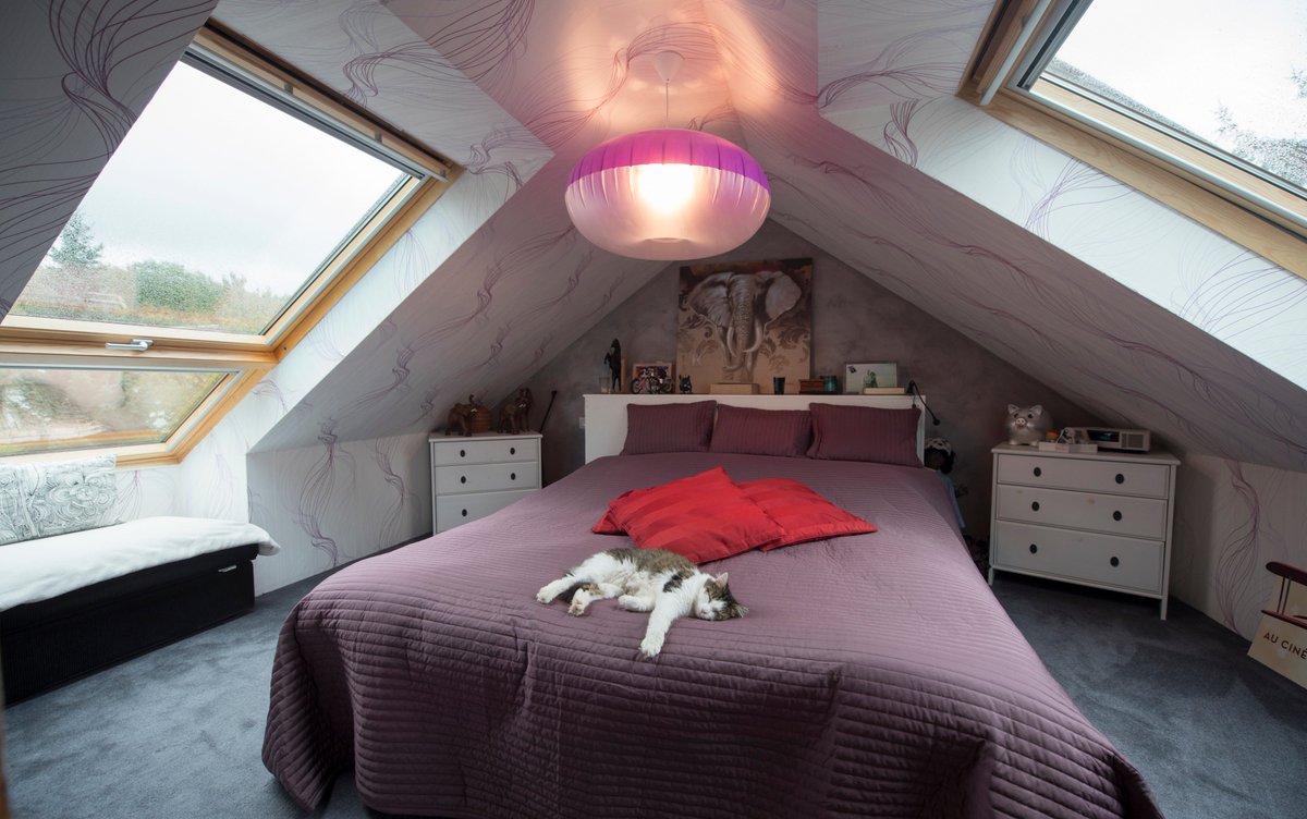 #JeudiPhoto Un jeudi tranquille sous les combles 🐱Il est toujours temps d'aménager vos combles ! #combles combles.com/reseau/1er-res…