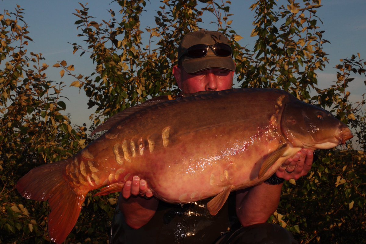 CarpSyndicate's tweet photo. The current lake record Orca at 42.10 this is going to be a huge fish !! #thecarpsyndicate @CarpSyndicate @VSFisheries @SScottFish https://t.co/9D1sjrRYTr