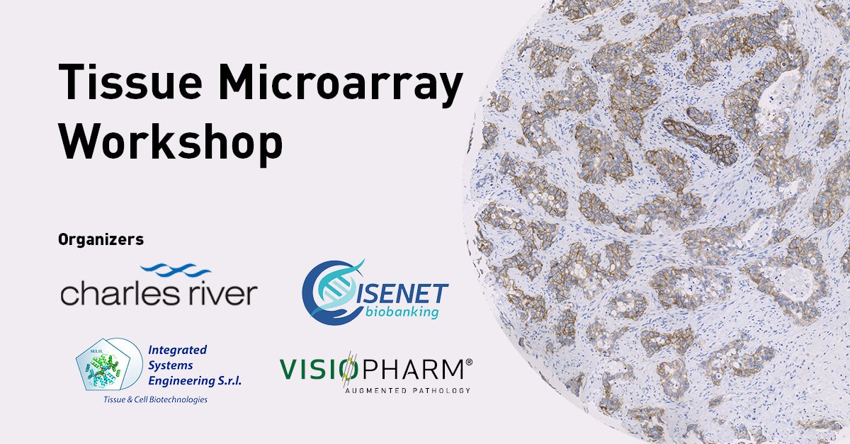 Visiopharm's tweet image. We’re excited to announce our joint workshop with ISENET & @CRiverLabs on October 24th @CRiverLabs - Register to learn more about automated image analysis of TMA for tissue-based molecular applications ow.ly/X7vL50jpKxm!
#digitalpathology #tissuemicroarray #imageanalysis