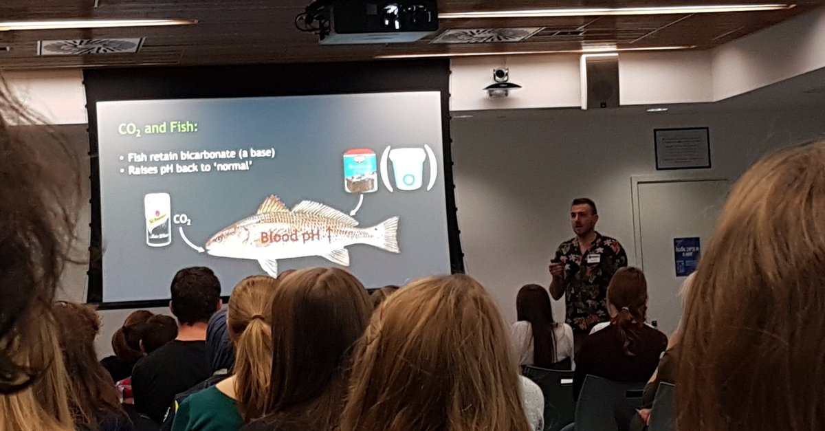MarineBioAlice's tweet image. Brilliant talk by @willd2408 on crafting cocktails for fish in aquaculture #CLEScon