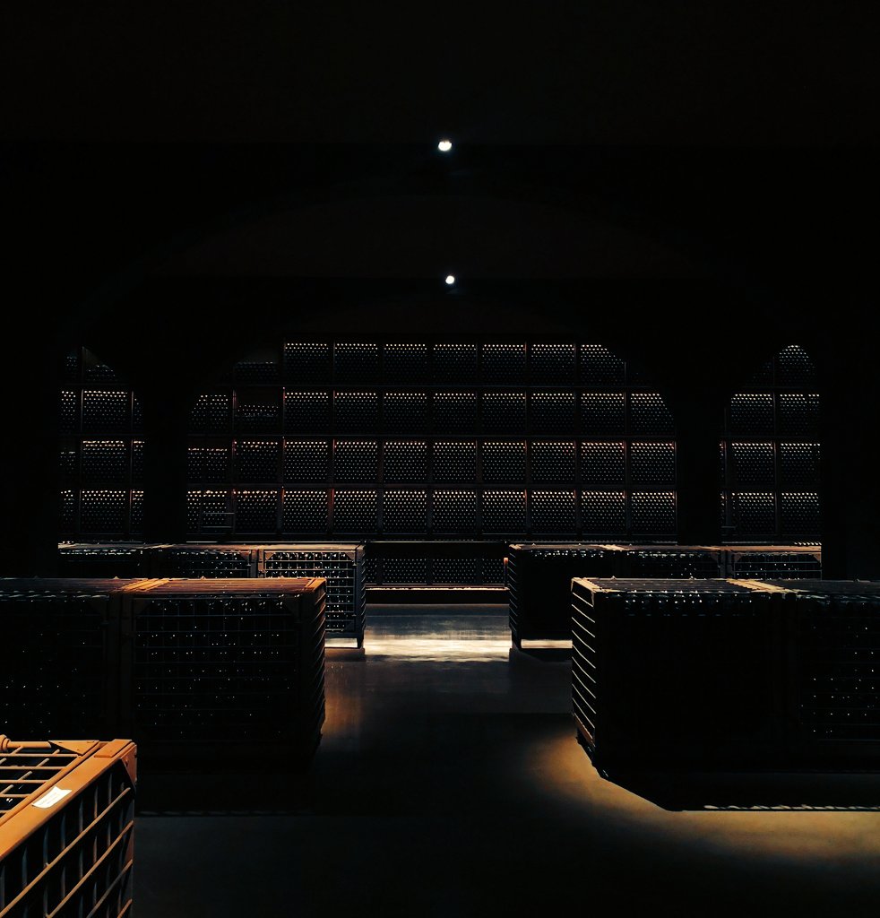 Un templo del vino <a href="/RamonBilbao/">Ramón Bilbao</a> #ramonbilbao #vendimia