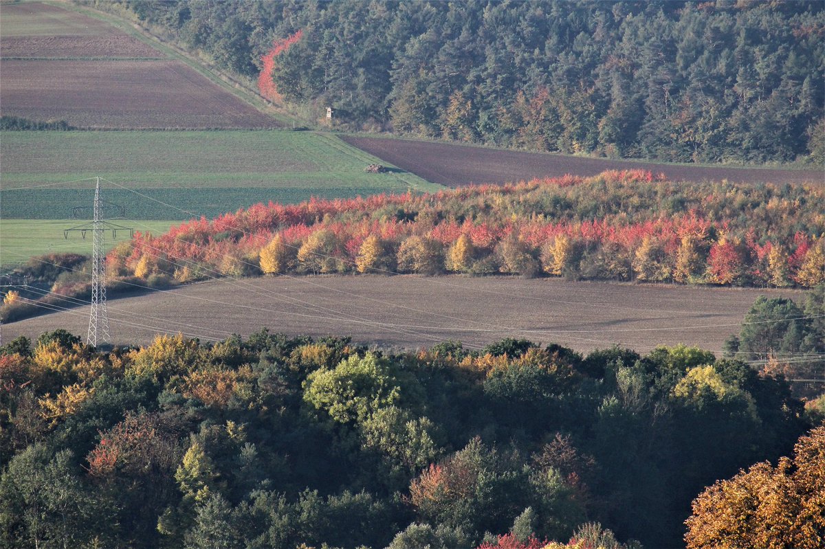 UrsulaNeubauer's tweet photo. Herbstfarben! https://t.co/HkNsLPGyZC