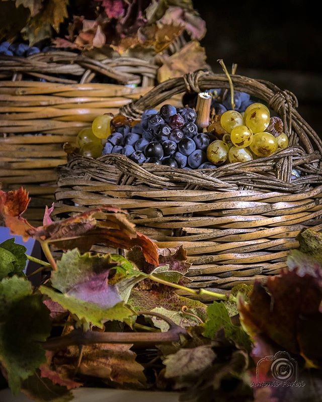 Autunno in Barbagia tweet media