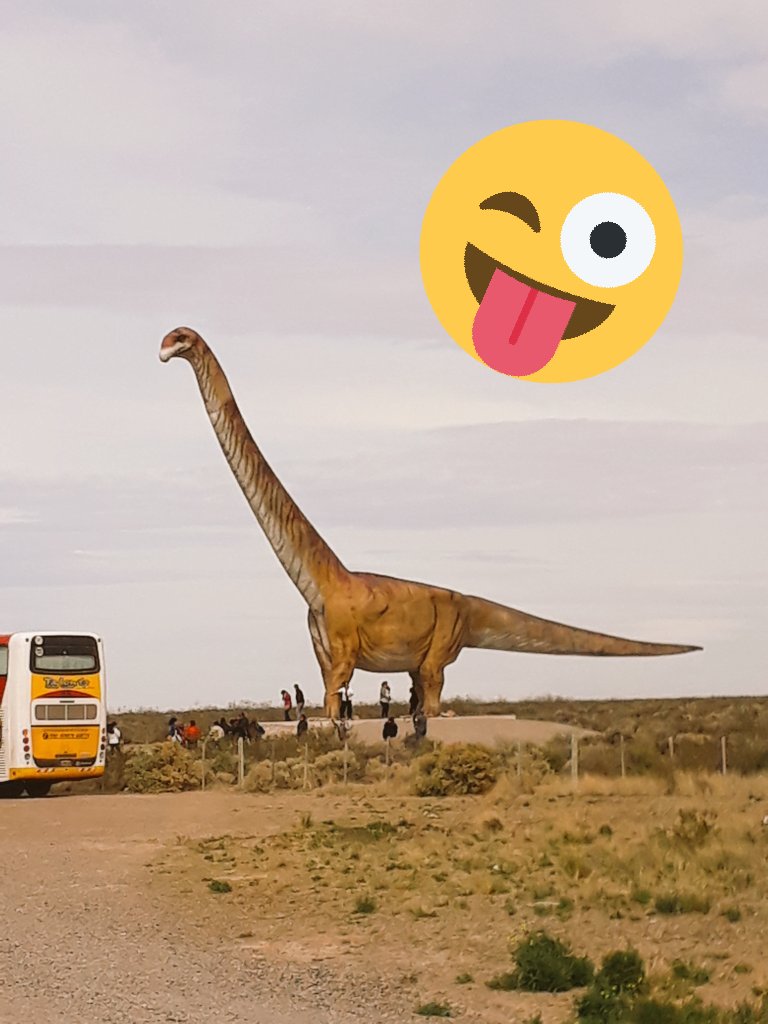 Graciascielito's tweet photo. @Mags_S99 @PalyJen @andyserkis Like this one in #patagonia? Patagotitan near the @mefpatagonia this weekend! #fossilfriday #dino #biggestone https://t.co/sOha2rsBM9