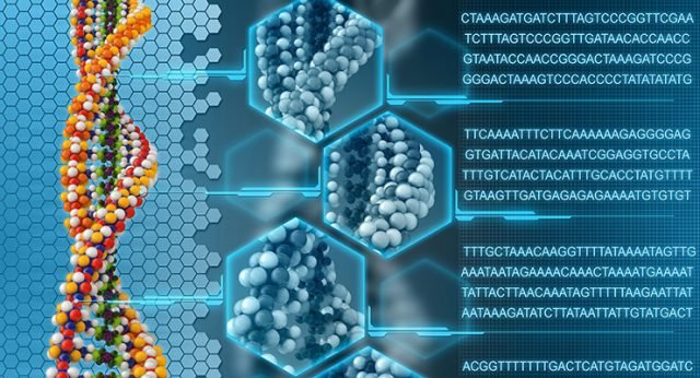 Genomes are very much useful ... as Cancer Treatments ...
more info :- oncology.euroscicon.com
Genome sequencing found feasible and informative for #PediatricCancerTreatment.
#Causes_of_cancer #CancerMetastasis #OrganSpecificCancer #BloodCancer
#CancerScreening #CancerDiagnosis