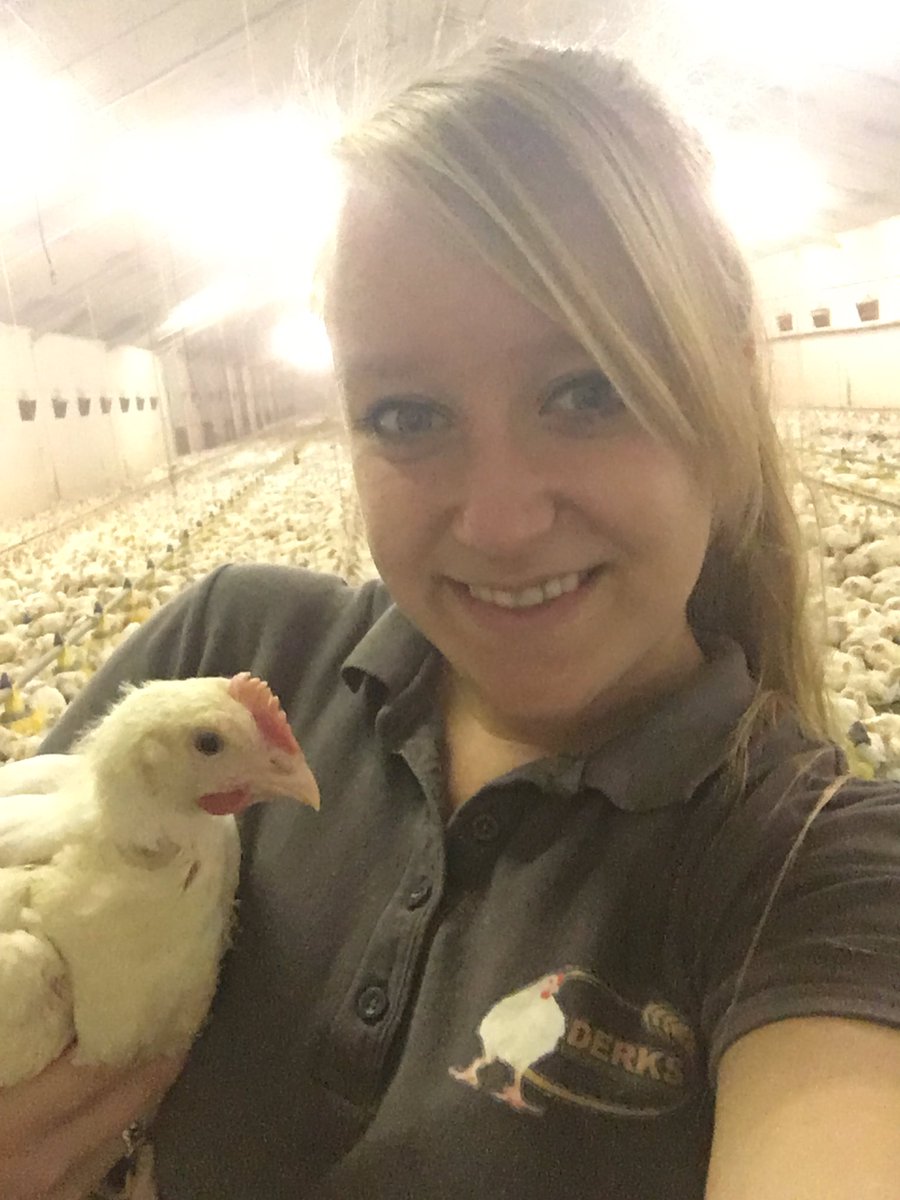 Rond en gezond 🐓🐥