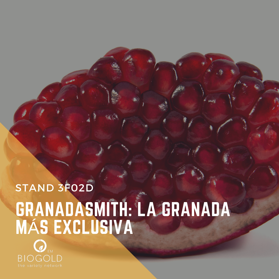 GranadaSmith's tweet photo. Nos vemos la semana que viene en @feriafruitattraction - visita nuestro stand en el pabellón 3 - 3F02D #agriculture #campo #finca #variedadesvegetales #granado #limon #naranjo #mandarina #tropigold #mango #subtropicales #agricultor #madrid #españa #spain #feria #lemon #citrico https://t.co/Zlb2ywI9XZ