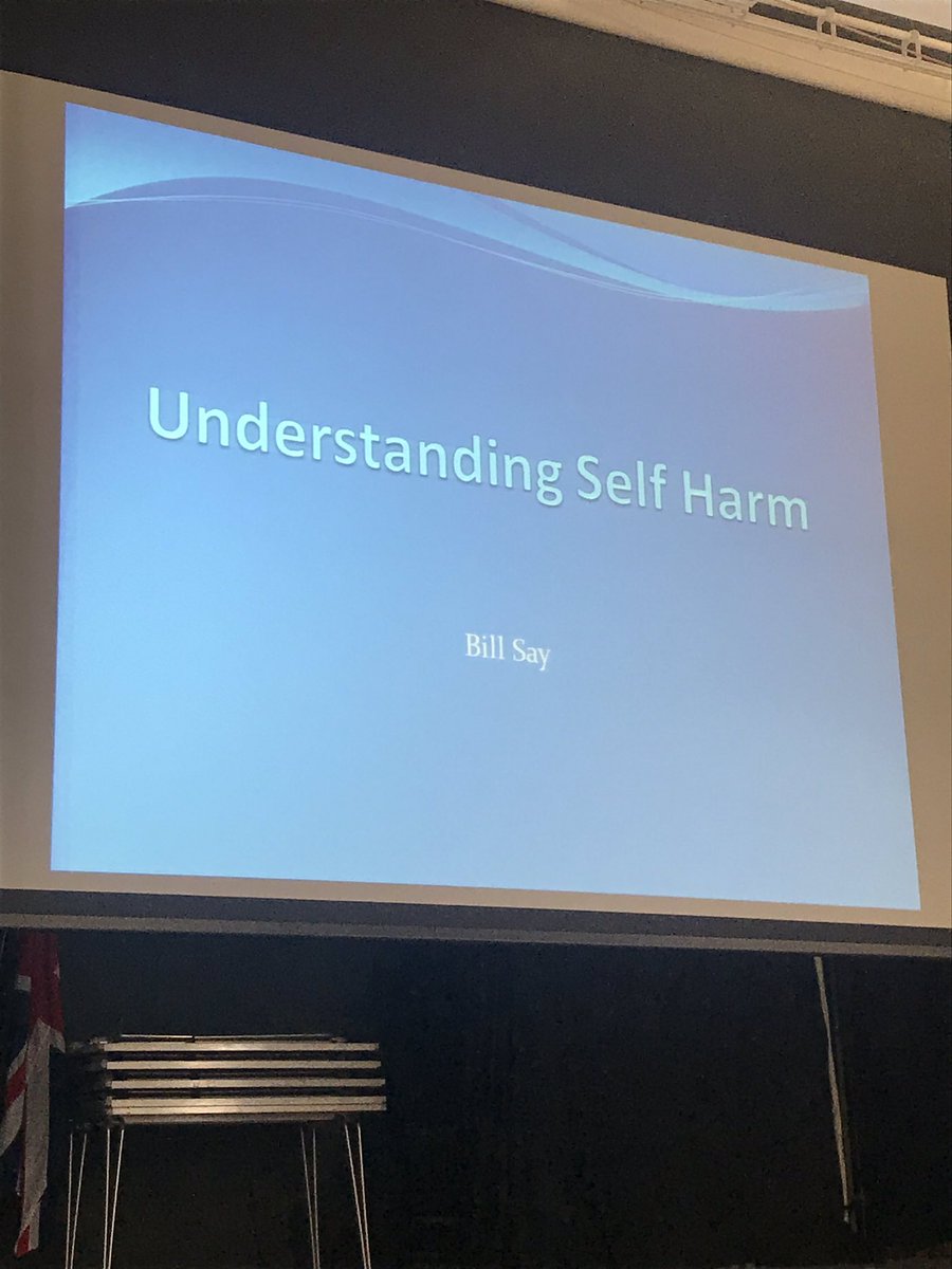 stbedespastoral's tweet photo. Mrs Gallinagh and Mrs James are out on a self-harm course today to gain more understanding of self-harm and to seek different ways to help and support children in our school. #understandingselfharm #mentalhealth #wellbeing https://t.co/4TeCYagXlu