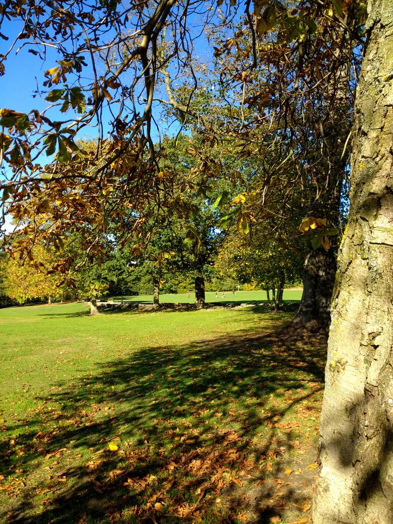 june taylor (@joonlt) on Twitter photo Just been for a quick power blast round #MeanwoodPark. Because it's good for me and it's a gorgeous day! #amwriting <a href="/LovingLeeds/">#LovinLeeds</a> <a href="/MeanwoodMatters/">Meanwood Matters</a> <a href="/MVPtweet/">Meanwood Valley</a> Just been for a quick power blast round #MeanwoodPark. Because it's good for me and it's a gorgeous day! #amwriting <a href="/LovingLeeds/">#LovinLeeds</a> <a href="/MeanwoodMatters/">Meanwood Matters</a> <a href="/MVPtweet/">Meanwood Valley</a>