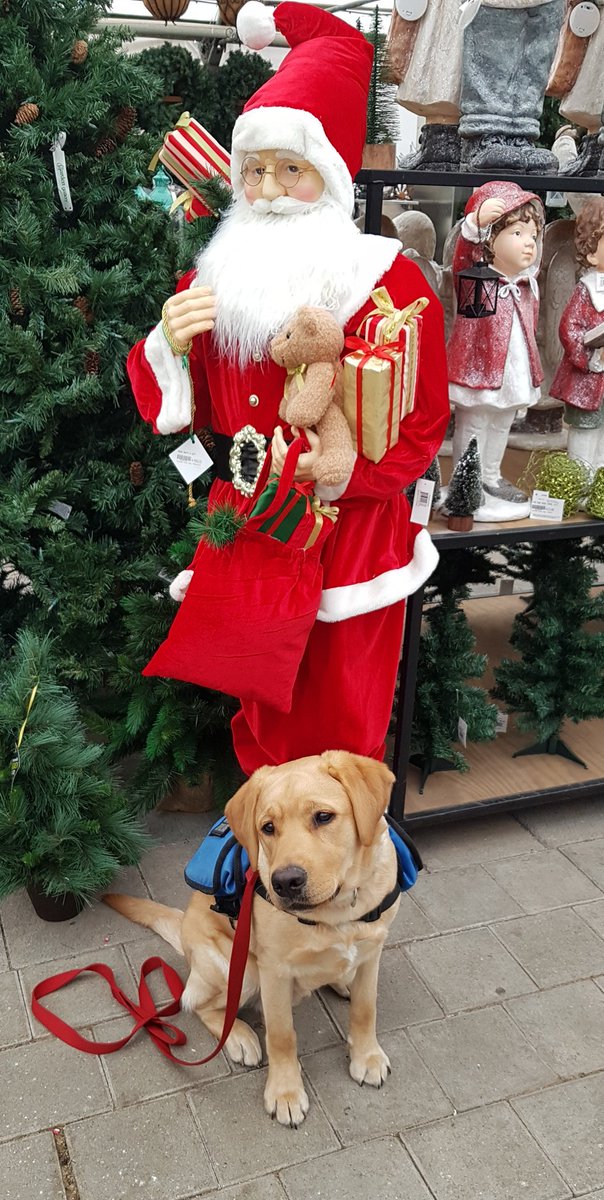 Shadesofbroken2's tweet photo. Jazz &amp; Santa ! https://t.co/jWoyKzCGel