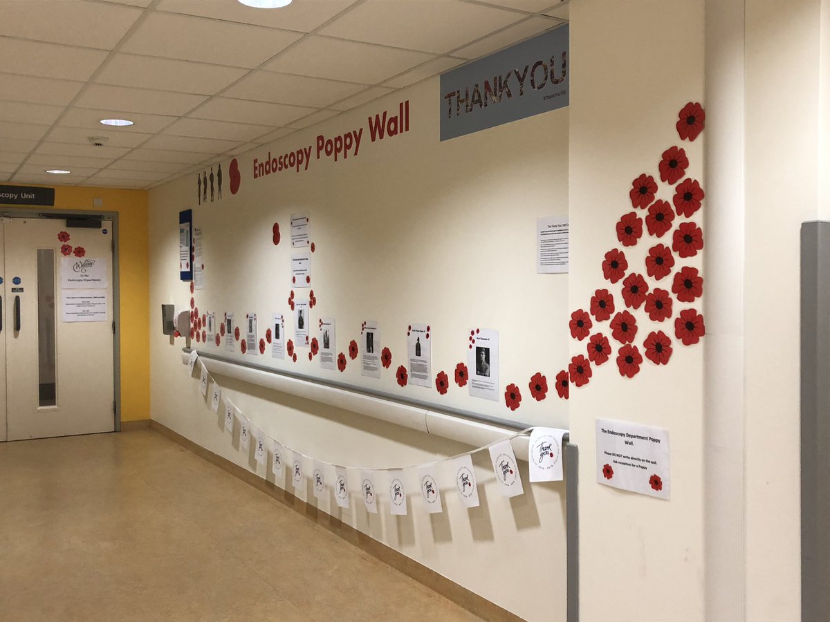 Endoscopy Poppy Wall on D level QA. Come and add a poppy of remembrance. #WeWillRememberThem #Poppyappeal # thankyou100