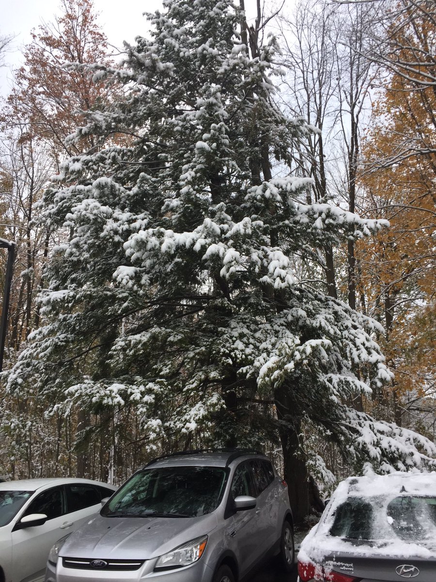 paulcook501's tweet photo. Une belle neige couvre la 
cour d’école à l’Académie La Pinède ce matin. https://t.co/2J3EZaig9V