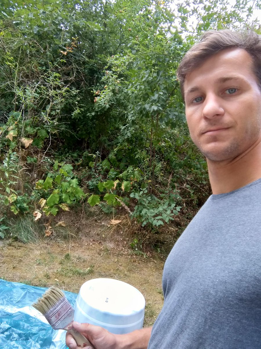 Truls Hansson tweet media