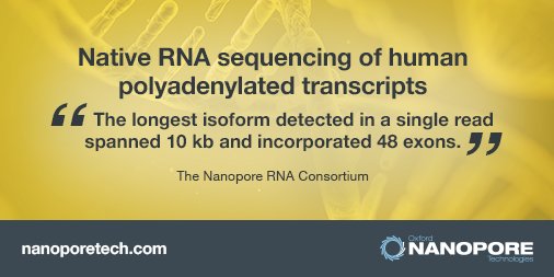 nanopore's tweet photo. The RNA Consortium aims to generate a reference data set for the human transcriptome sequenced in its native form. Read how nanopore technology is contributing to this goal: https://t.co/qBuZsfnITU #ASHG2018 https://t.co/I4hRjdYV2m