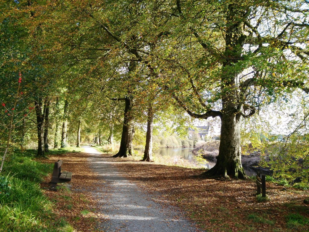 fvhistory's tweet photo. Historical Drumboe Woods, site of Drumboe Castle and the Hayes Estate, looking very autumnal the October sunshine today. You can see the Church of Mary Immaculate, #Stranorlar in the background, where the foundation stone was laid in 1857, consecrated in 1863. #rteweathercomp https://t.co/UKI2avHOn8