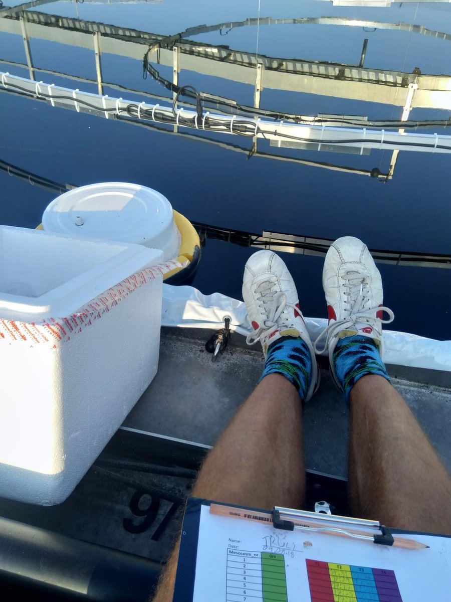 Truls Hansson tweet media